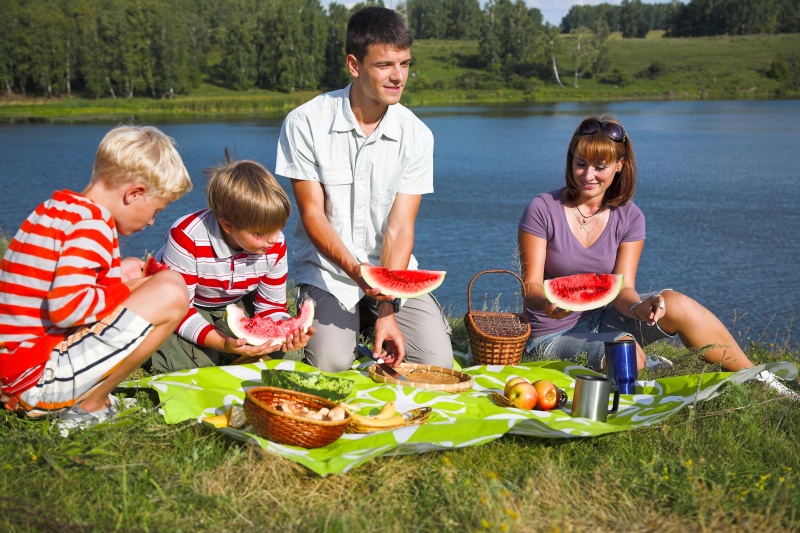 familie aan het picknicken