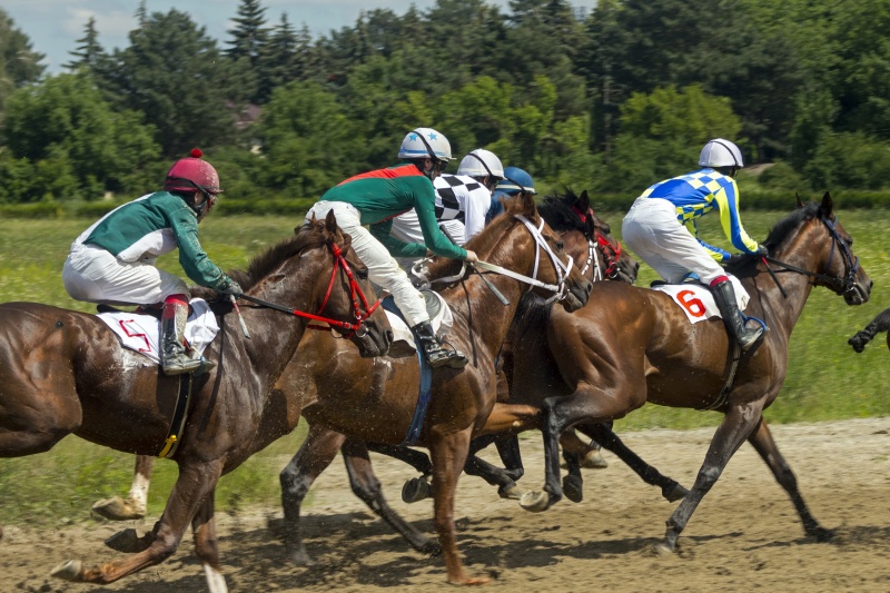 paardenrennen