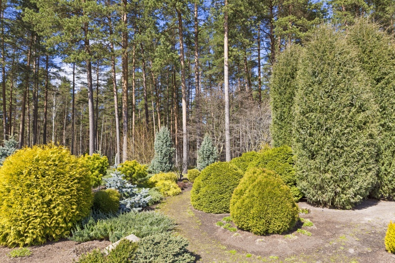 groene tuin in de herfst