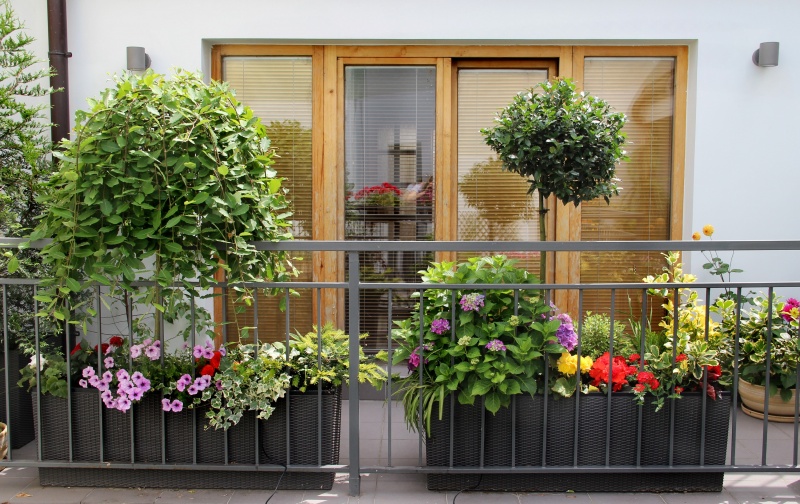 balkon planten