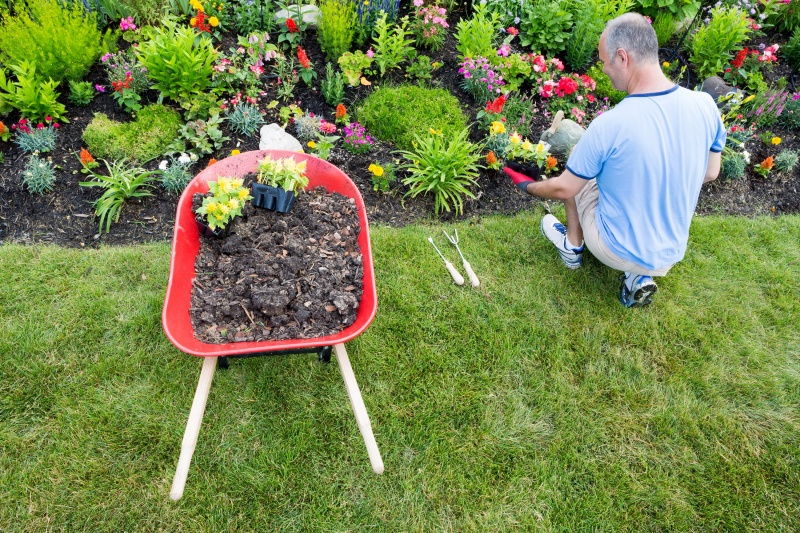 man bezig met beplanting