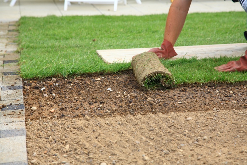 Ecologie mout Onvervangbaar Stappenplan voor het leggen van graszoden | infobron.nl