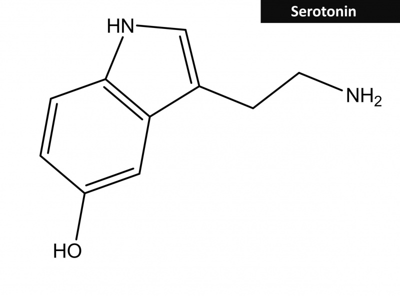 serotonine