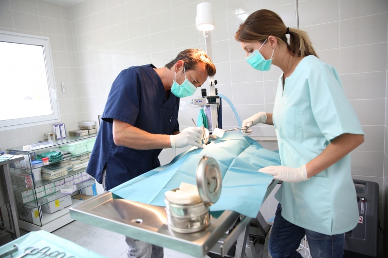 dierenarts en assistente op operatiekamer