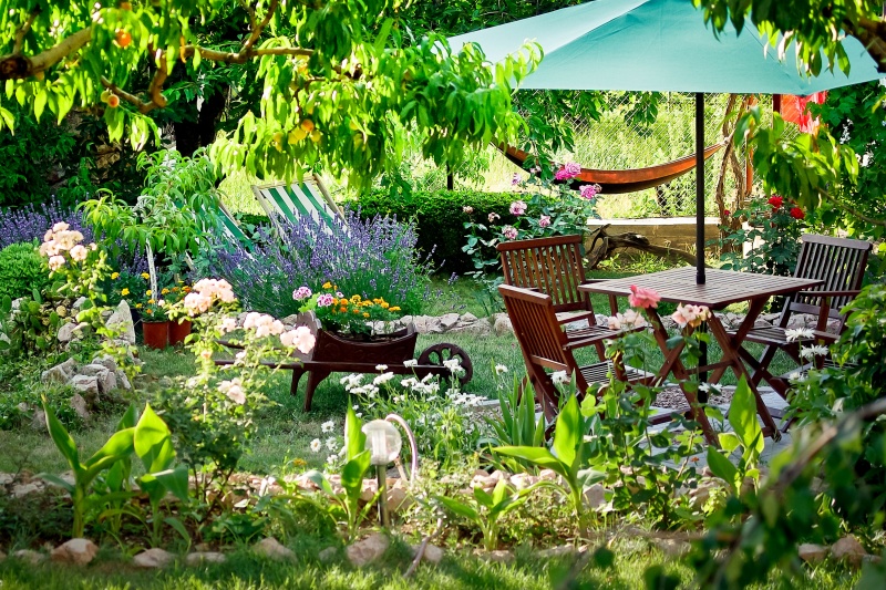 Tips om je achtertuin om te toveren tot een droomtuin 