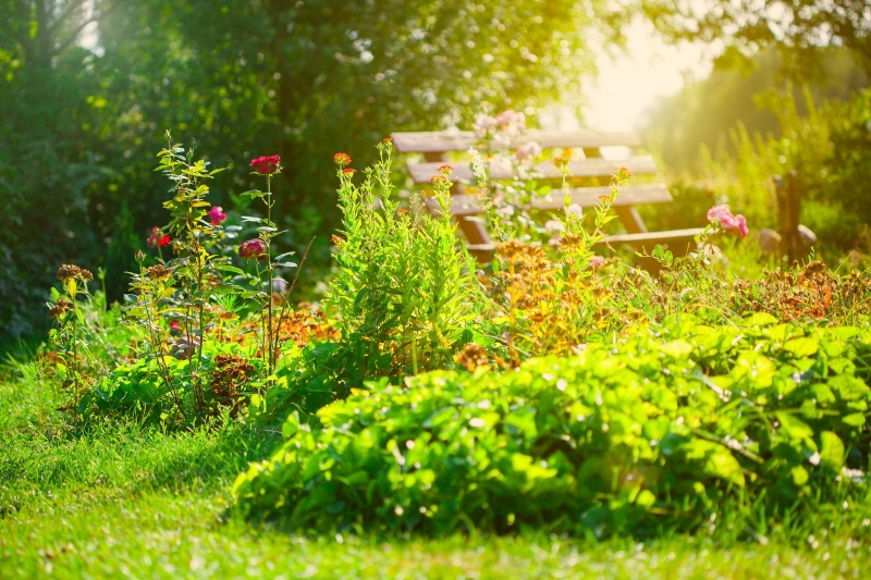 Tips voor een mooie tuin in de zomer