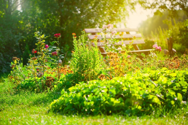 Tips voor een mooie tuin in de zomer infobron.nl