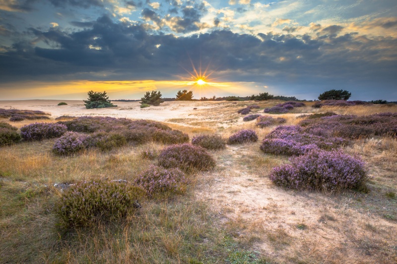 Op vakantie in Nederland