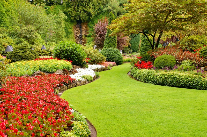 Op zoek naar een tuinman? Ga eerst vergelijken!