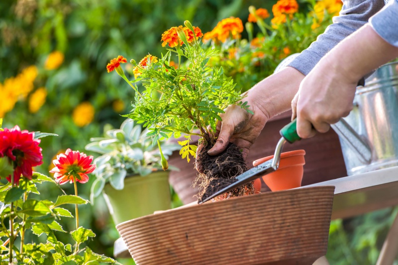 Haal jij het uiterste uit je tuin?