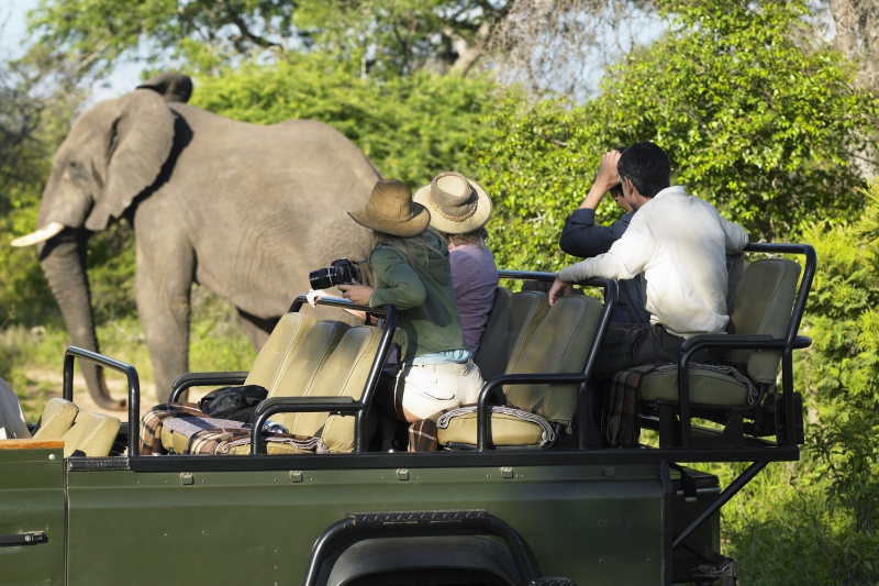 Inpaklijst safari: dit neem je mee naar Afrika 