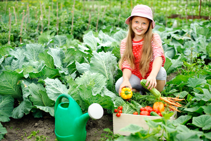 Hoe een moestuin aanleggen? 