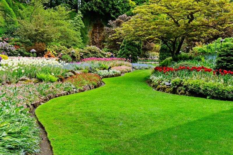 De Leukste Tuinplanten 8 Combinaties.