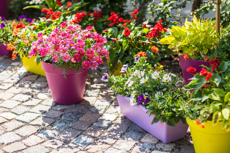 Versier uw huis met bloempotten.