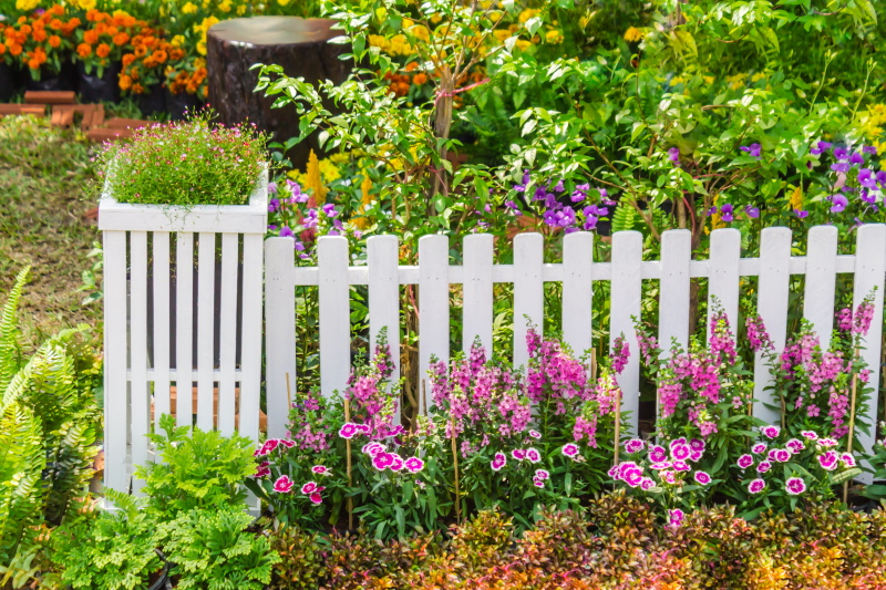 Tips voor het kiezen van een tuinafscheiding. 