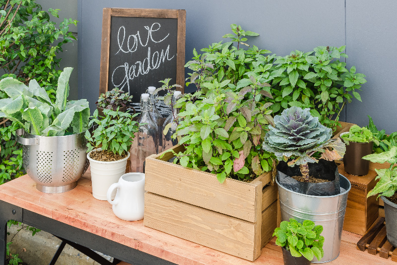 De juiste bloembak voor jouw tuin!