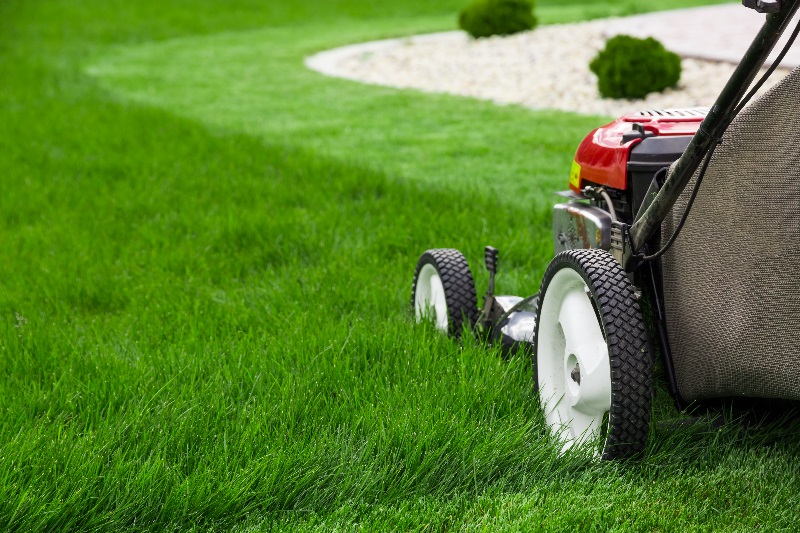 Grasmaaier kopen: waar moet je op letten?