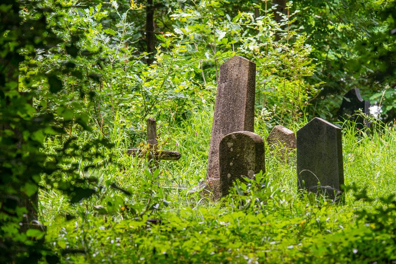 Natuurbegraafplaatsen: duurzaam laatste rustoord