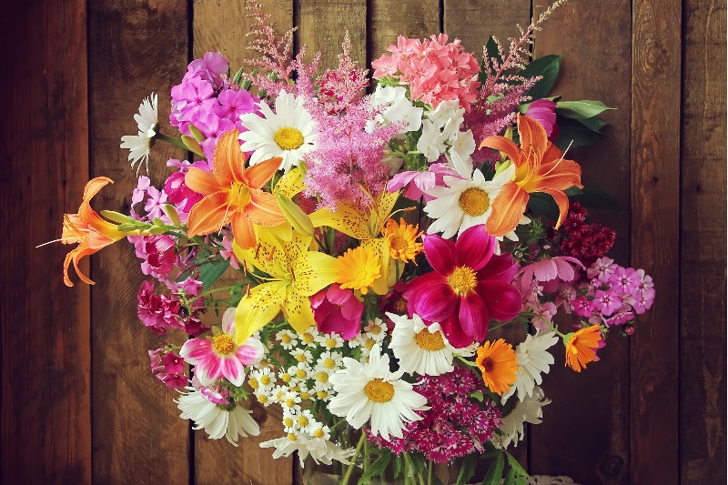 Een blik op het hebben, houden en kopen van bloemen