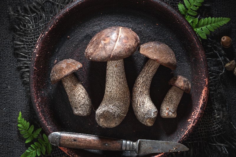 Microdosering met truffels voor zelfontdekking