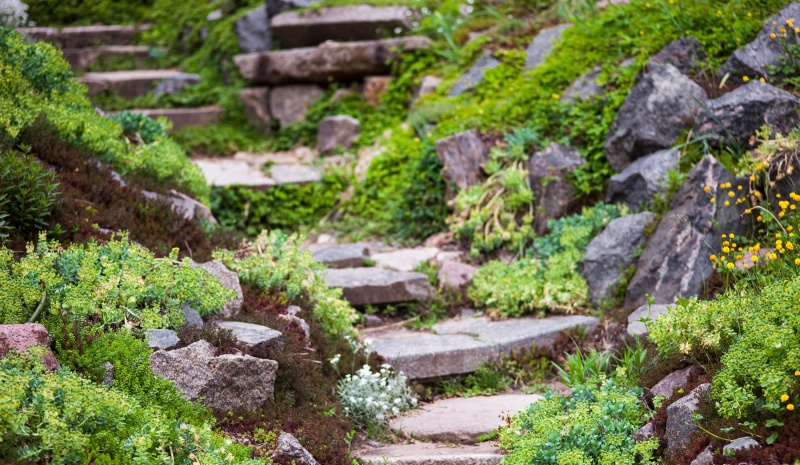 Rotstuin aanleggen in je tuin