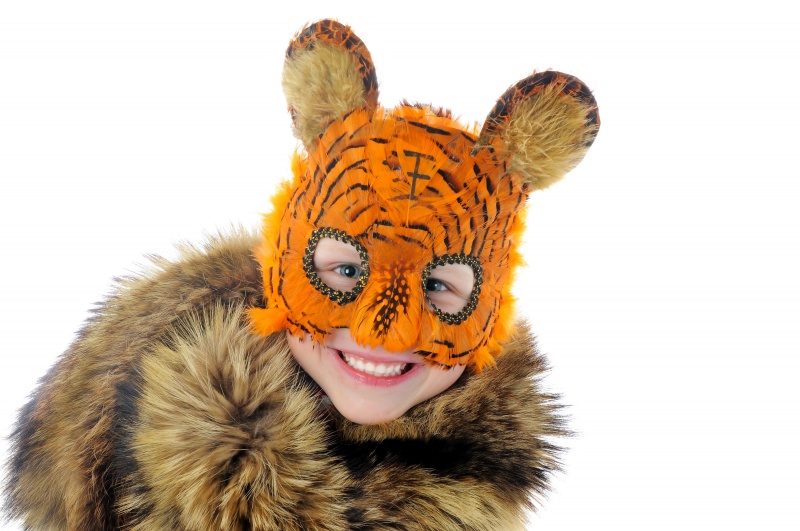 Carnaval kostuum tijger