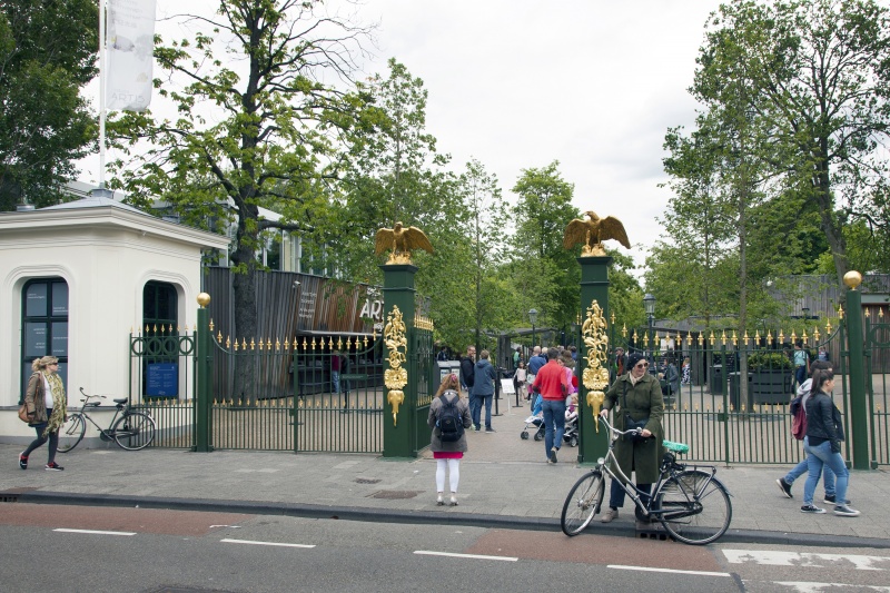 dierentuin Artis in Amsterdam