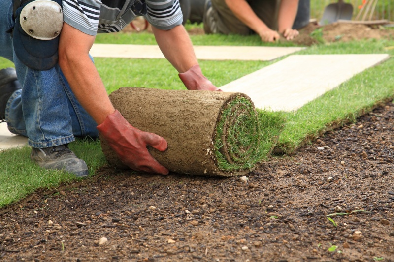 tuin aanleggen grasmatten leggen